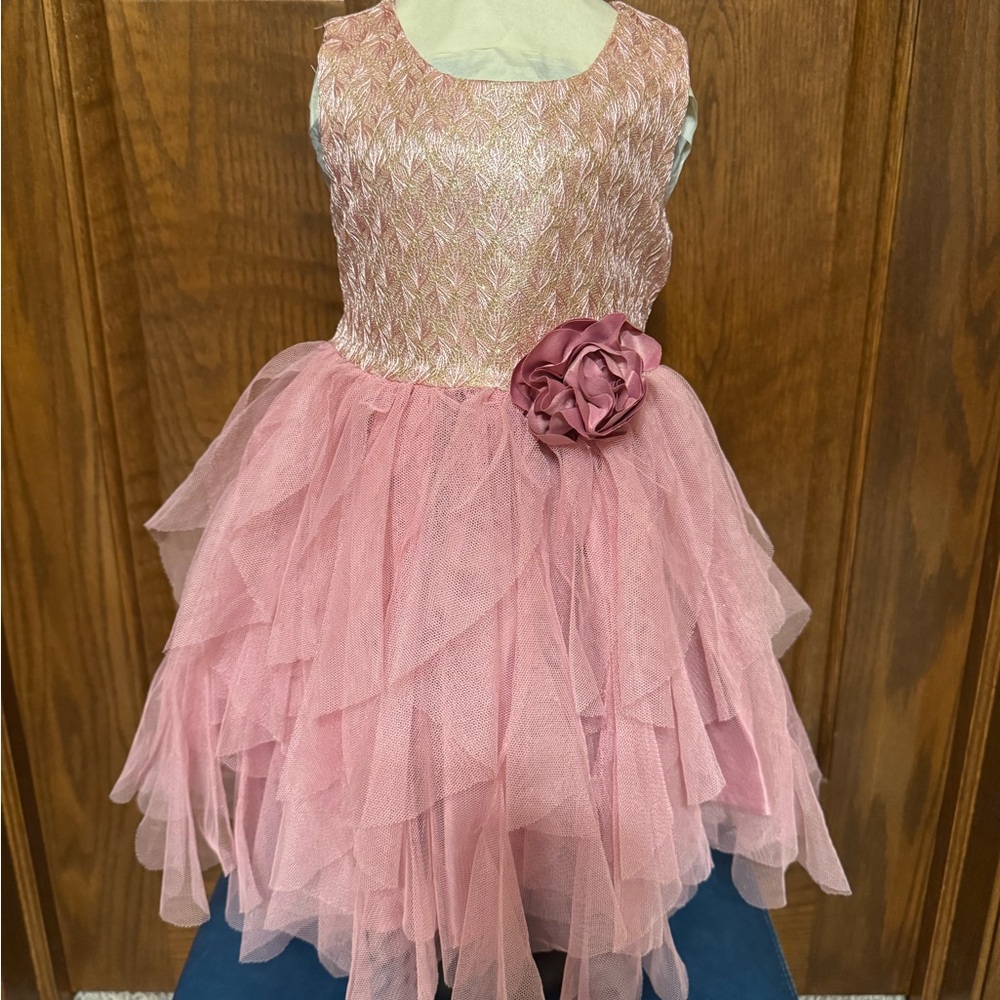 Pre-owned Biscotti Baby size 18 M Pink Sleeveless Tulle dress